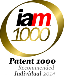 IAM 250 logo